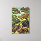 schildpadden en Zeeen schildpadden door Ernst Hae Canvas Afdruk (Voorkant)
