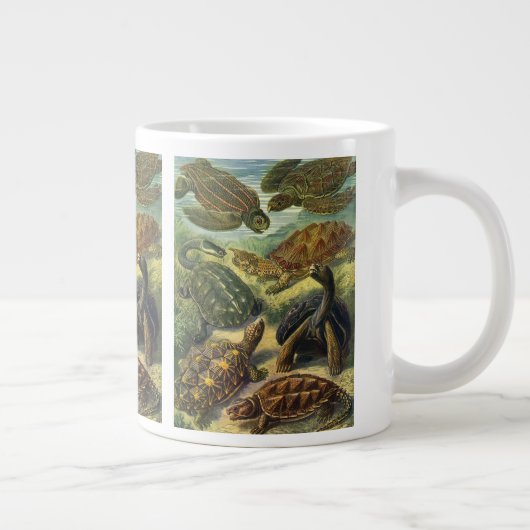 schildpadden en Zeeen schildpadden door Ernst Hae Grote Koffiekop (Rechts)