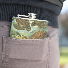 schildpadden en Zeeen schildpadden door Ernst Hae Heupfles