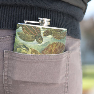  schildpadden en Zeeen schildpadden door Ernst Hae Heupfles