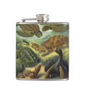 schildpadden en Zeeen schildpadden door Ernst Hae Heupfles (Voorkant)