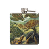 schildpadden en Zeeen schildpadden door Ernst Hae Heupfles (Achterkant)