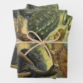 schildpadden en Zeeen schildpadden door Ernst Hae Inpakpapier Vel (In situ)