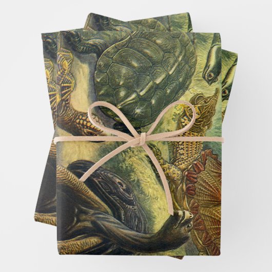 schildpadden en Zeeen schildpadden door Ernst Hae Inpakpapier Vel (In situ)