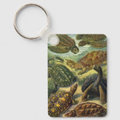 schildpadden en Zeeen schildpadden door Ernst Hae Sleutelhanger (Voorkant)