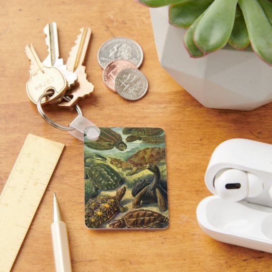 schildpadden en Zeeen schildpadden door Ernst Hae Sleutelhanger (Bureau)