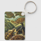 schildpadden en Zeeen schildpadden door Ernst Hae Sleutelhanger (Achterkant)