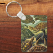 schildpadden en Zeeen schildpadden door Ernst Hae Sleutelhanger (Voorkant)