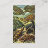  schildpadden en Zeeen schildpadden door Ernst Hae Visitekaartje (Achterkant)