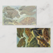  schildpadden en Zeeen schildpadden door Ernst Hae Visitekaartje (Voorkant / Achterkant)