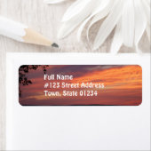 Schildpadden Etiket (Insitu)