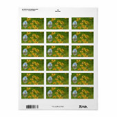 Schildpadden Etiket (Full Sheet)