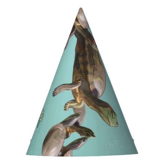 Schildpadden Feesthoedjes (Voorkant)