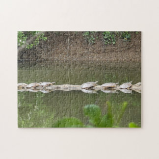 Schildpadden in een rij legpuzzel