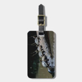 Schildpadden in het Nationaal Park Tortuguero - Co Bagagelabel (Voorkant verticaal)