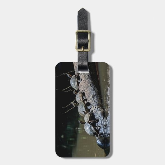 Schildpadden in het Nationaal Park Tortuguero - Co Bagagelabel (Voorkant verticaal)