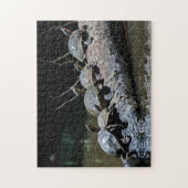 Schildpadden in het Nationaal Park Tortuguero - Co Legpuzzel (Verticaal)