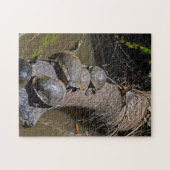 Schildpadden in het Nationaal Park Tortuguero - Co Legpuzzel (Horizontaal)