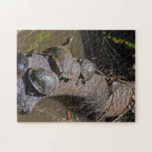 Schildpadden in het Nationaal Park Tortuguero - Co Legpuzzel (Horizontaal)