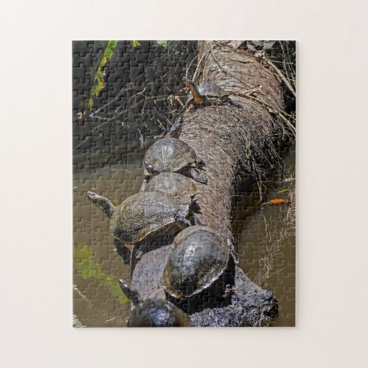 Schildpadden in het Nationaal Park Tortuguero - Co Legpuzzel (Verticaal)