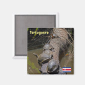 Schildpadden in het Nationaal Park Tortuguero - Co Magneet (Voorkant / Achterkant)