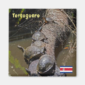 Schildpadden in het Nationaal Park Tortuguero - Co Magneet (Voorkant)