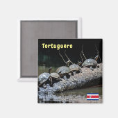 Schildpadden in het Nationaal Park Tortuguero - Co Magneet (Voorkant / Achterkant)