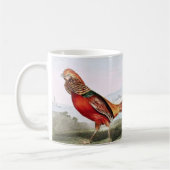 Schildpadden Koffiemok (Links)