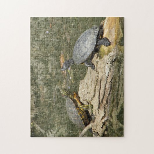 Schildpadden Legpuzzel (Verticaal)