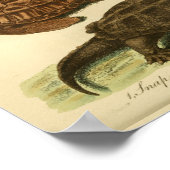  schildpadden Natuurgeschiedenis Afdrukken Poster (Hoek)
