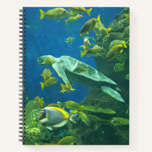 Schildpadden Notitieboek