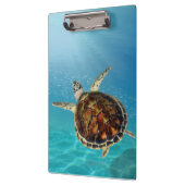 Schildpadden onderwater zwemmen klembord (Links)