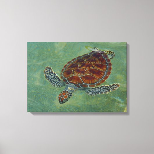 Schildpadden op Canvas Afdruk (Voorkant)