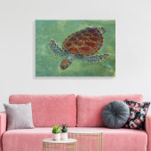 Schildpadden op Canvas Afdruk (Insitu (Woonkamer))