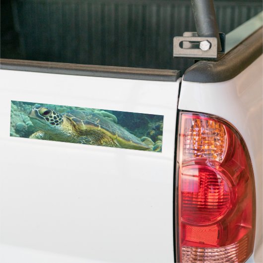 Schildpadden op Hawaï Bumpersticker (Op Truck)