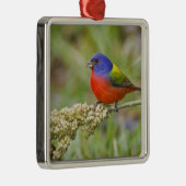 Schildpadden (Passerian ciris), mannelijk vervoede Metalen Ornament (Rechts)