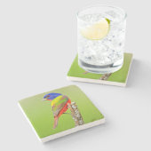 Schildpadden (Passerina ciris) Stenen Onderzetter (Zijkant)