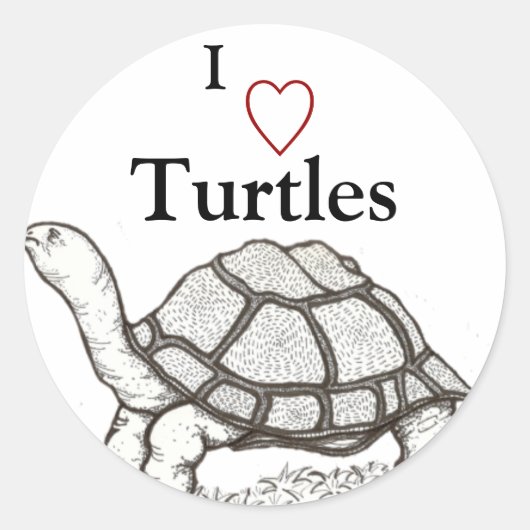 Schildpadden Sticker (Voorkant)