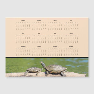 Schildpadden - Voljaar 2024 kalender