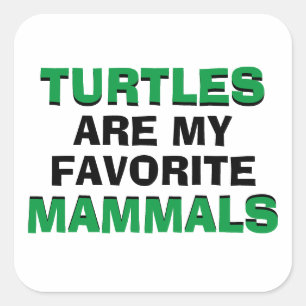 Schildpadden zijn mijn favoriete zoogdieren Biolog Vierkante Sticker