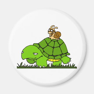 Schildpaddenrit Magneet