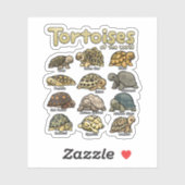 Schildpaddieren van de Wereld Schattigee Reptiel S Sticker (Vel)