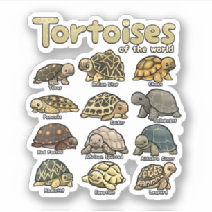 Schildpaddieren van de Wereld Schattigee Reptiel S Sticker