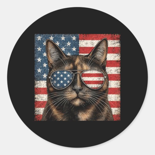 Schildpadkat 4 juli Amerikaanse vlag Ronde Sticker (Voorkant)