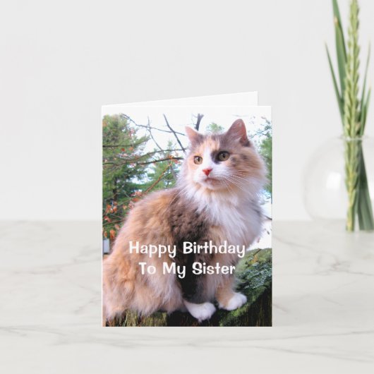 Schildpadkat Verjaardag Zus Kaart (Voorkant)