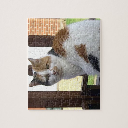 Schildpadkat zit op terrasplanken legpuzzel (Verticaal)