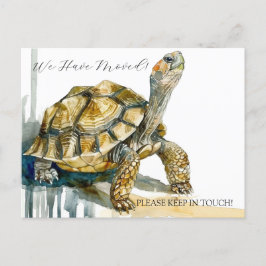 schildpadkunst briefkaart