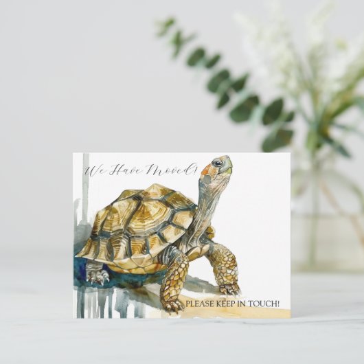 schildpadkunst briefkaart (Staand voorkant)