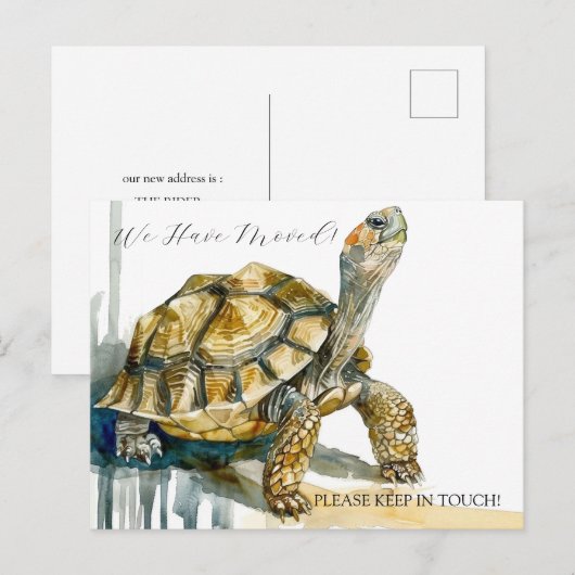 schildpadkunst briefkaart (Voorkant / Achterkant)