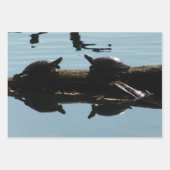 Schildpadliefhebber Inpakpapier Vlakke Vellen Set (Voorkant 2)